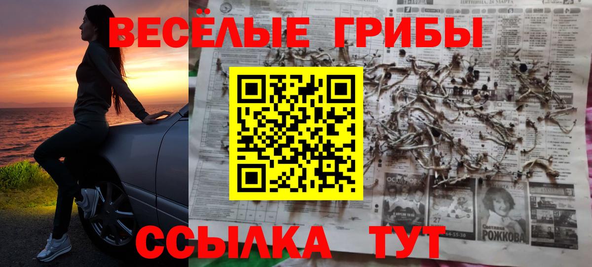 Галлюциногенные грибы мицелий Саранск