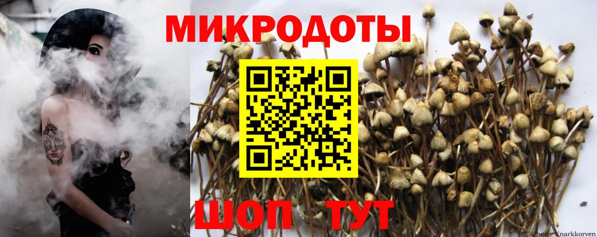 Саранск  Галлюциногенные грибы мицелий  Галлюциногенные грибы MAGIC MUSHROOMS  Вход с VPN 